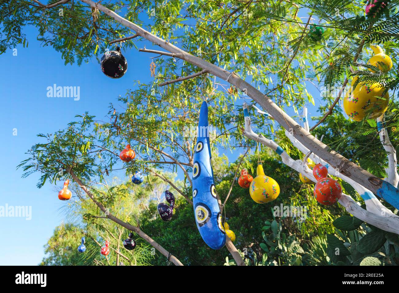 Lanterne di zucca essiccate su Bodrum Street Turkey. Decorazione organica sugli alberi Calabash Lagenaria siceraria. Cultura turca Foto Stock