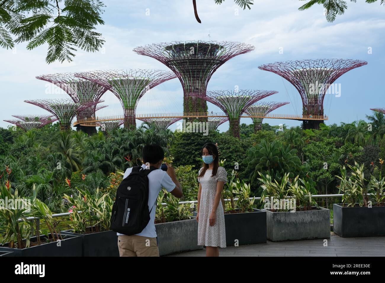 I due scattano foto di fronte al Supertree Grove nei Giardini di Singapore vicino all'attrazione turistica della Baia Foto Stock