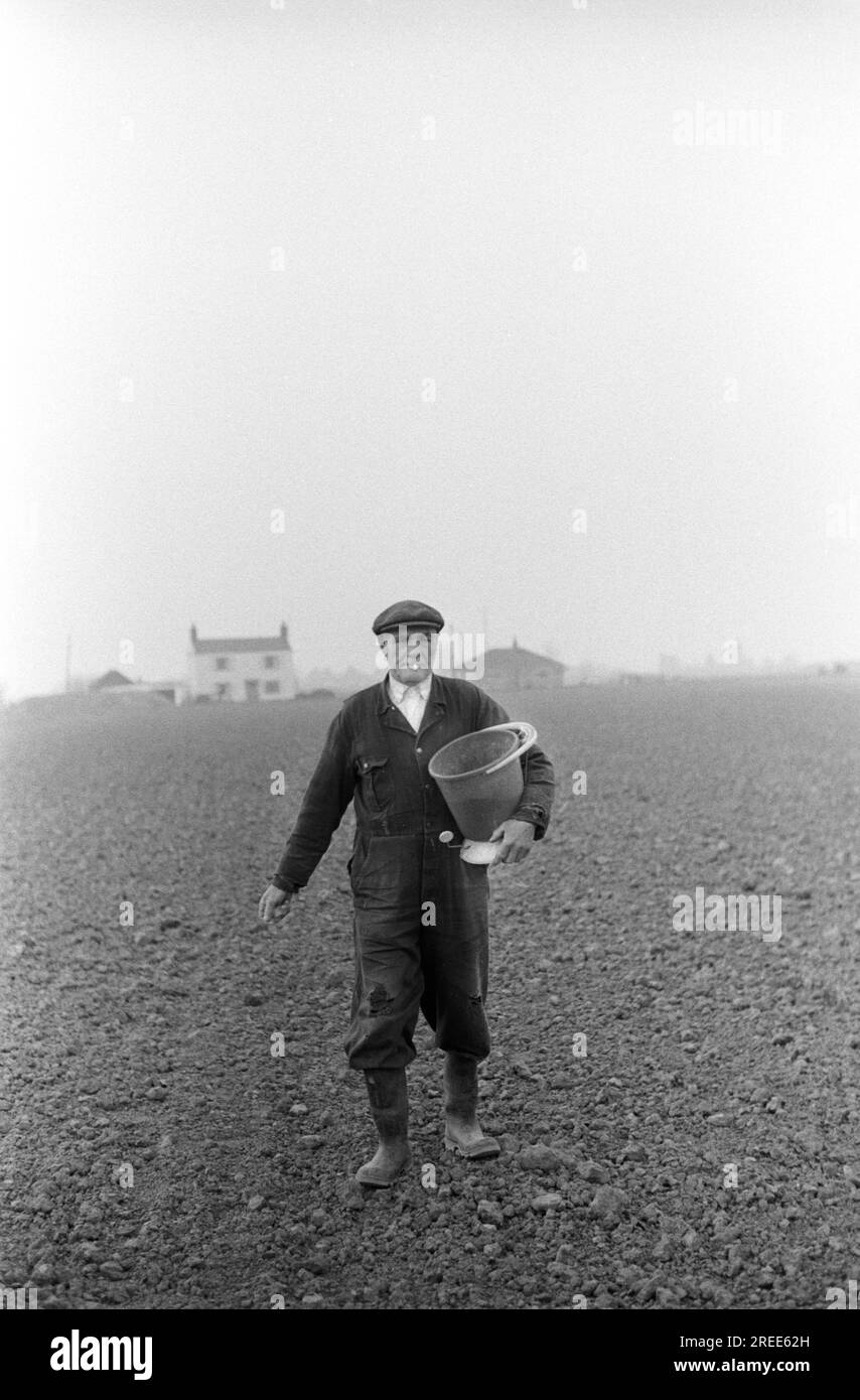 Contadino che semina semi sparsi a mano. Walter Howling di Sandygate Lane nella sua toppa alle ginocchia, seminando a mano i semi da un secchio di plastica. Terrington St. Clement, Norfolk, Inghilterra 1974 1970s UK HOMER SYKES. Foto Stock