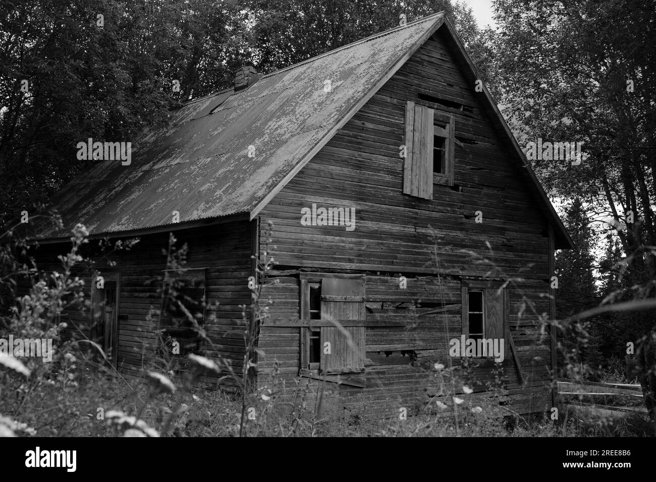 Una casa di legno abbandonata nella foresta svedese, buia e intimidatoria Foto Stock