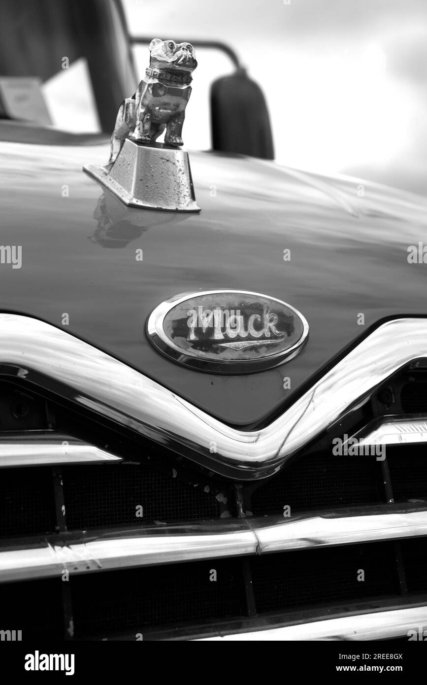 Il cofano e l'ornamento cromato del cofano bulldog su un semicamion Mack del 2004 in mostra in una mostra di automobili ad Abingdon, Virginia. Foto Stock