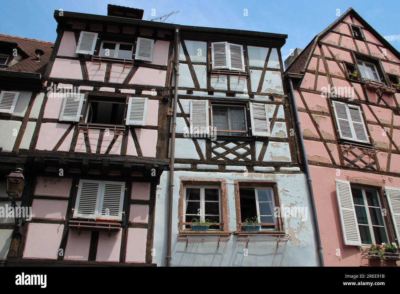 case a graticcio a colmar in alsazia (francia) Foto Stock