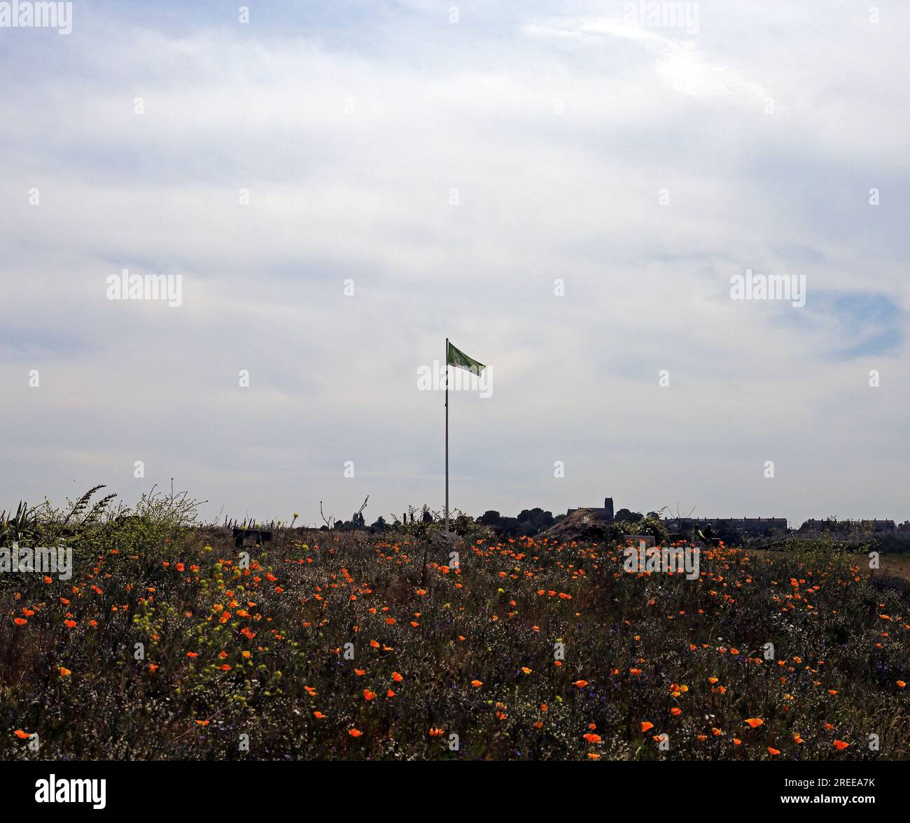 Bandiera dei Green Places premiata sulla sezione dei prati selvatici della Cardiff Bay Barrage, presa nel luglio 2023. Foto Stock