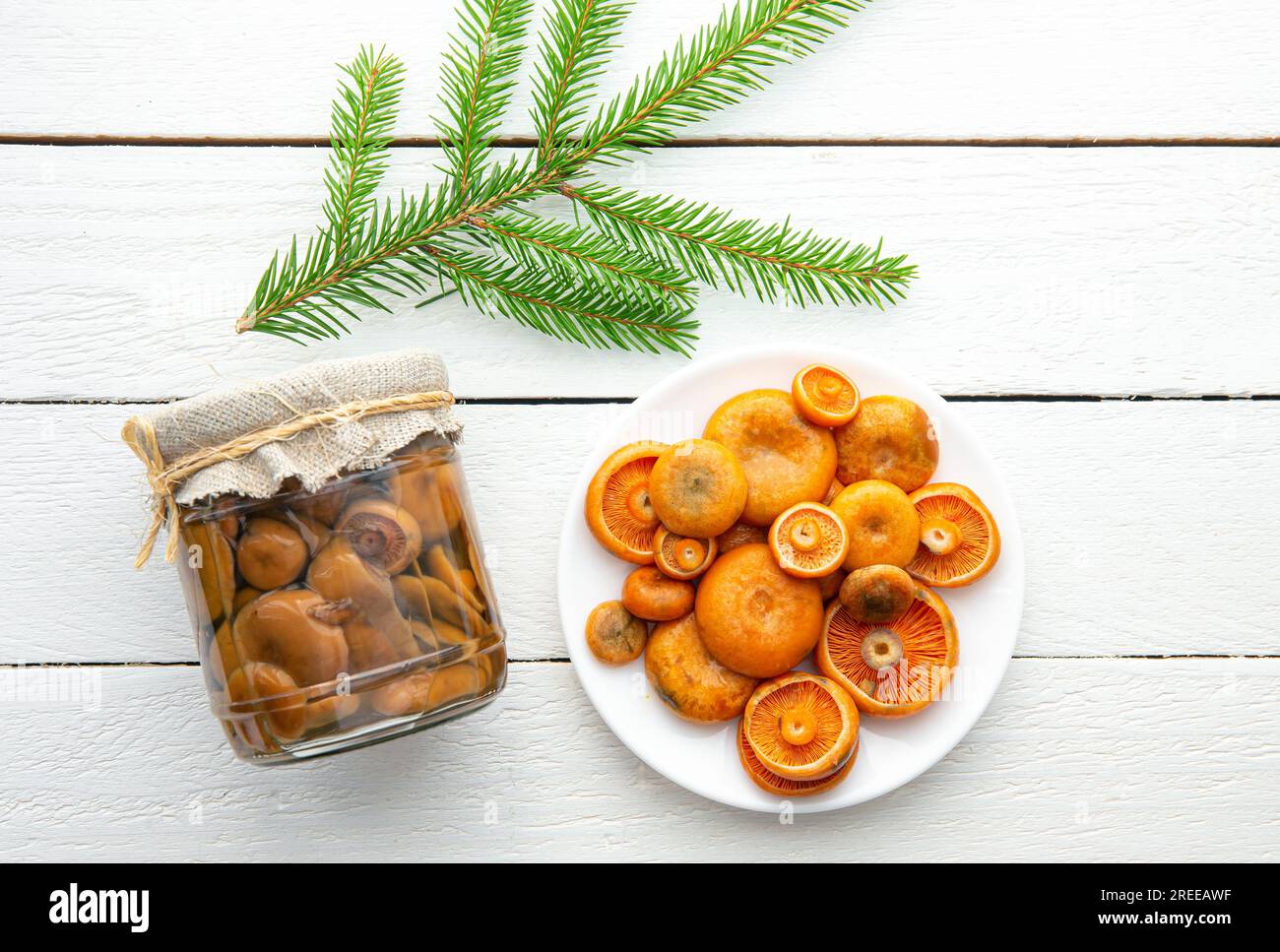 Funghi marinati calotta d'arancia o falsa calotta di zafferano, Lactarius deterrimus in vaso di vetro e funghi freschi raccolti in piatto, legno bianco. Foto Stock