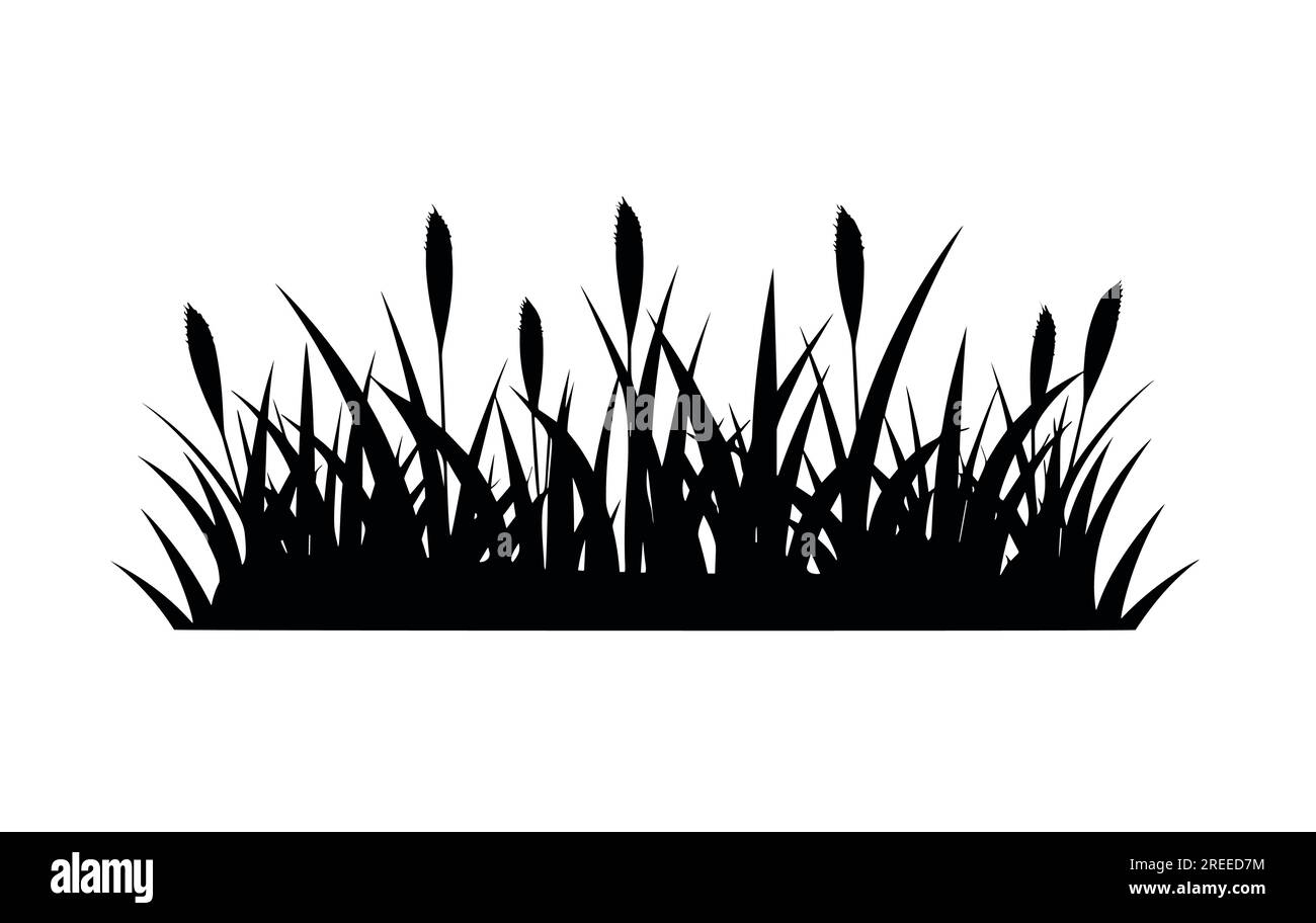 Profilo in erba panoramico per un design isolato su sfondo bianco. Illustrazione Vettoriale
