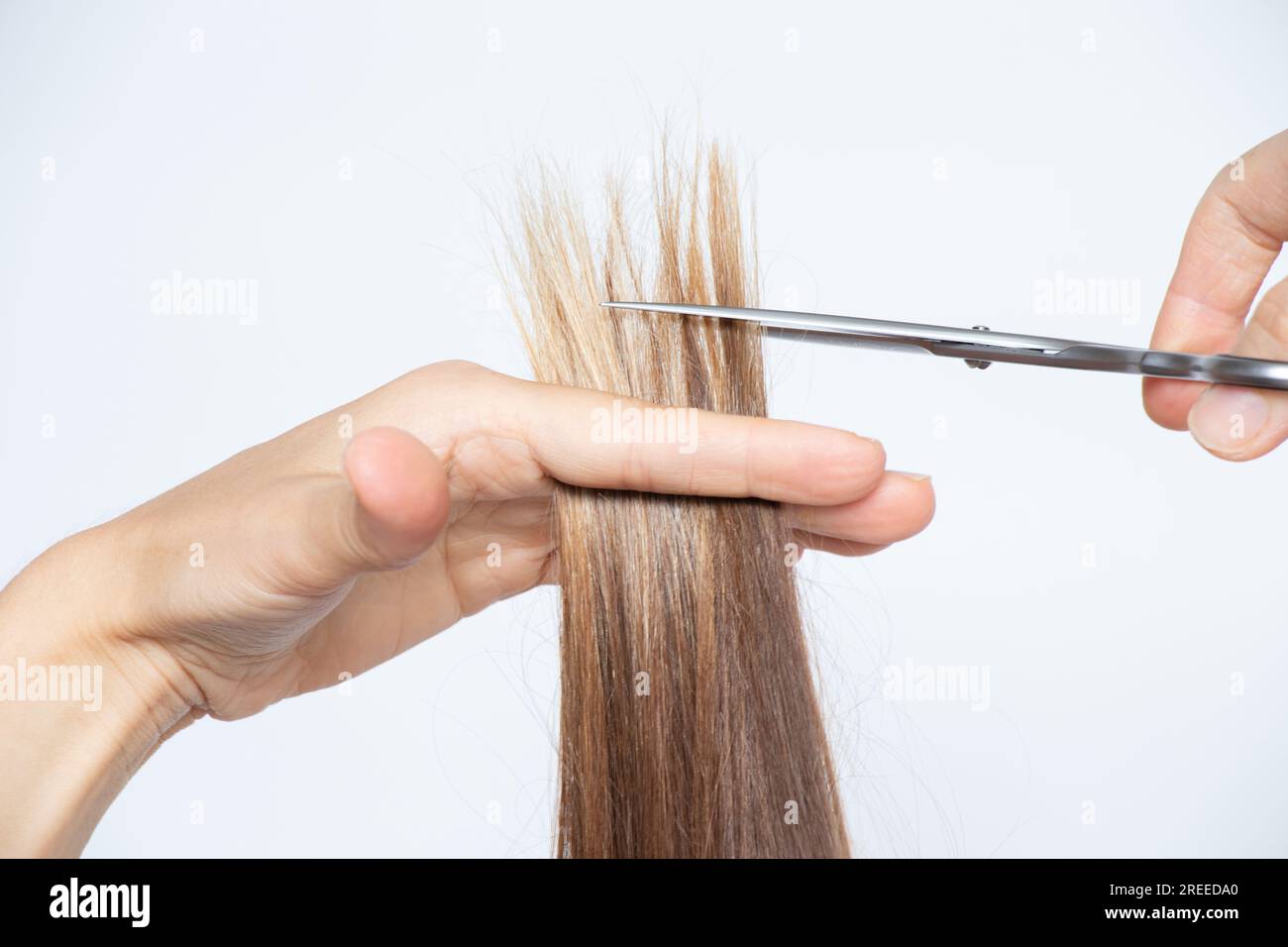 Le mani femminili tagliano i capelli delle ragazze con forbici, taglio di capelli e parrucchiere Foto Stock