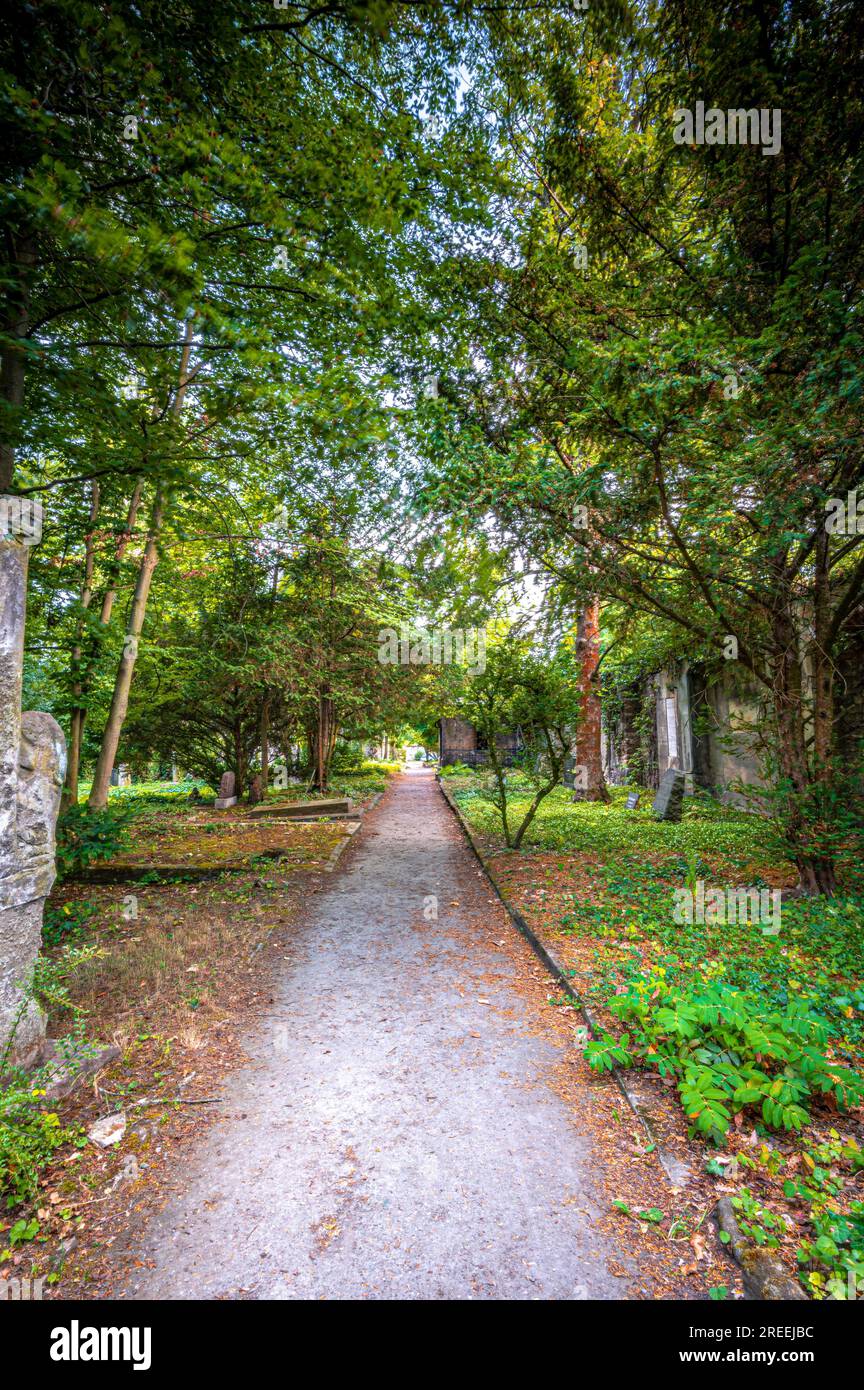 Vista su uno stretto sentiero al Johannisfriedhof con tombe sul lato sinistro e destro, Jena, Turingia, Germania Foto Stock