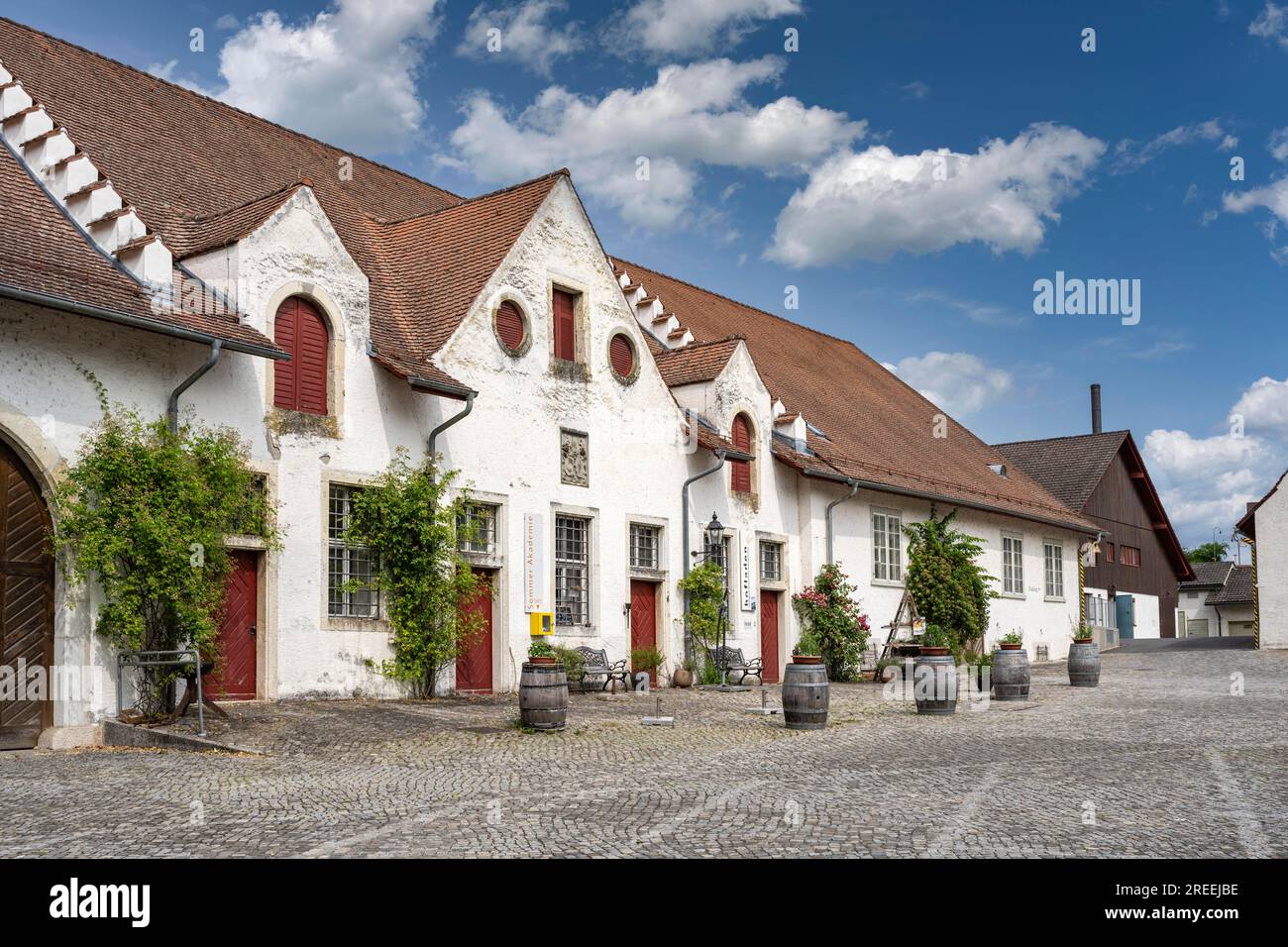 Ex fienili del monastero sulla piazza del monastero dell'ex abbazia benedettina, Rheinau, Andelfingen, Canton Zurigo, Svizzera Foto Stock