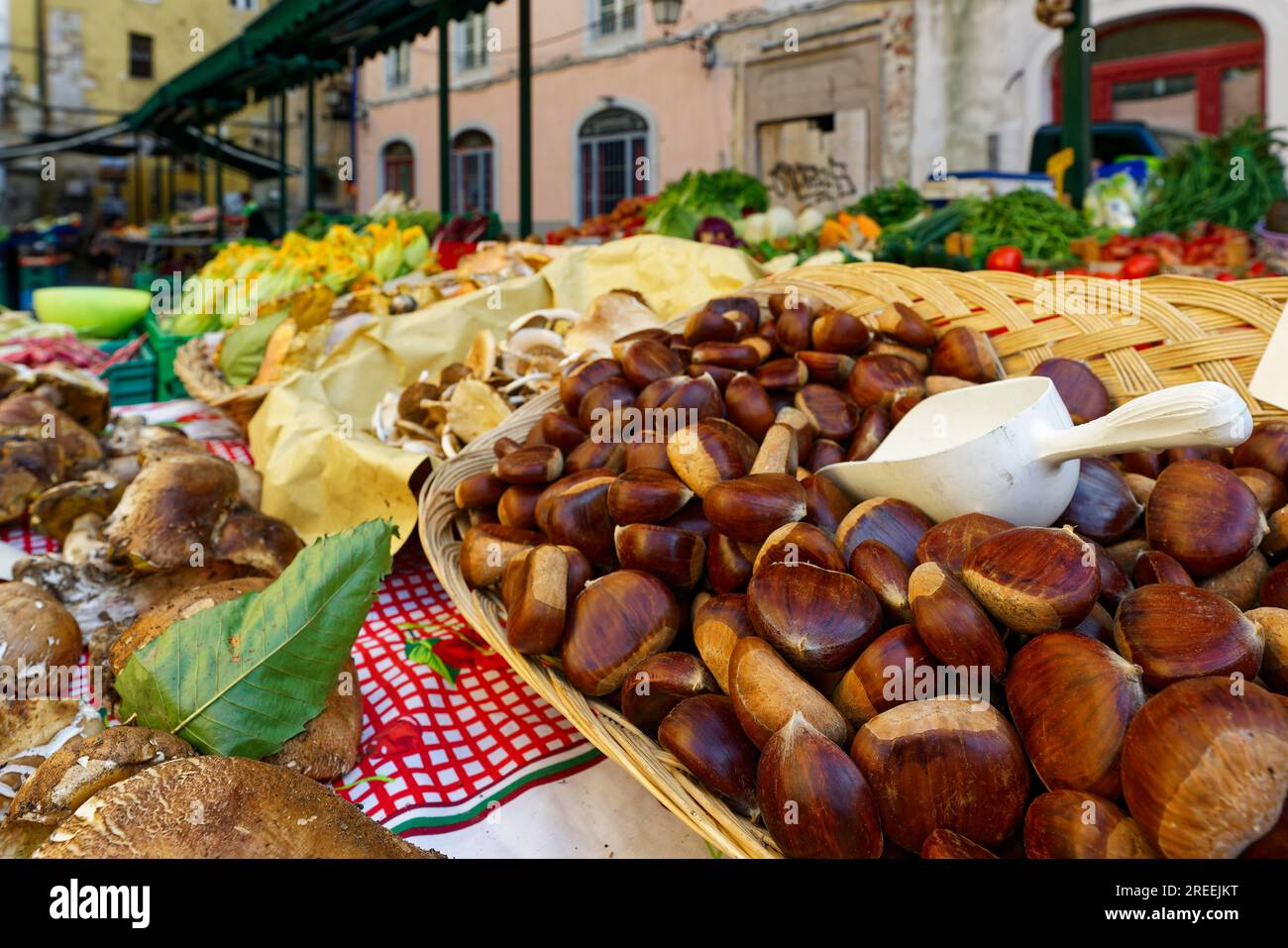 Stalla di verdure con castagne, castagne, funghi, via Domenico Cavalca, centro storico, Pisa, Toscana, Italia Foto Stock