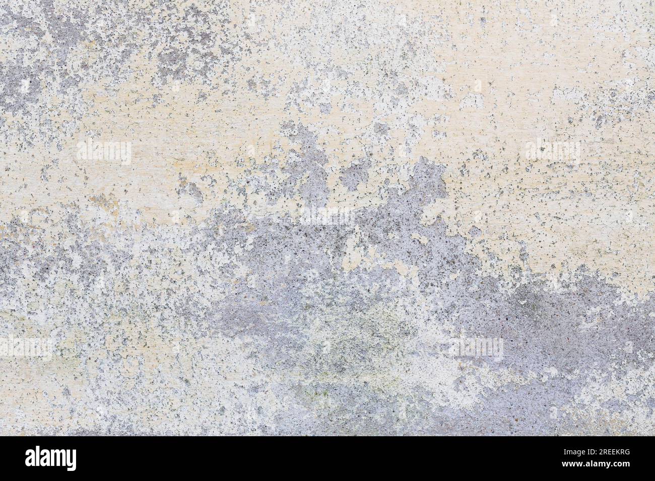 Vecchia parete intonacata con vernice sporca Foto Stock