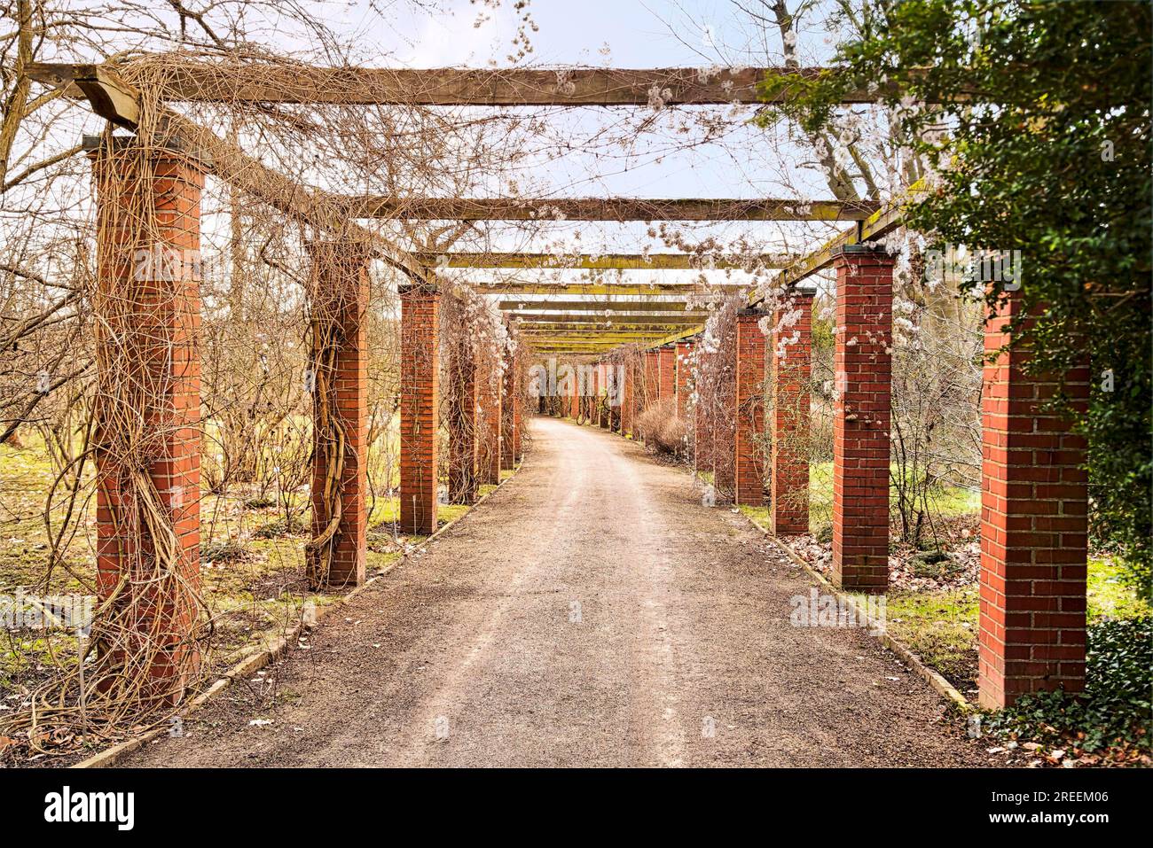 Giardino colonnato poco prima della primavera Foto Stock