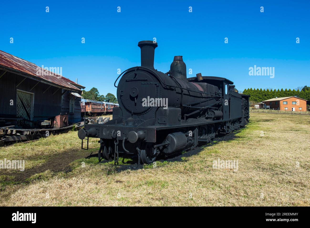 Vecchi treni a vapore dalla linea ferroviaria di Dorrigo, patrimonio dell'umanità dell'UNESCO Parco Nazionale di Dorrigo, nuovo Galles del Sud, Australia Foto Stock