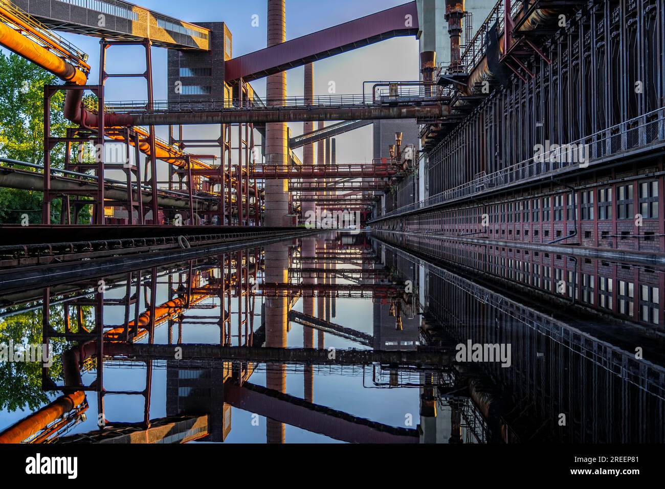 Impianto di cokeria Zollverein presso la miniera di Zollverein, ponti di nastri trasportatori, camini, batterie del forno a coke riflesse nell'acqua piovana che si è accumulata Foto Stock