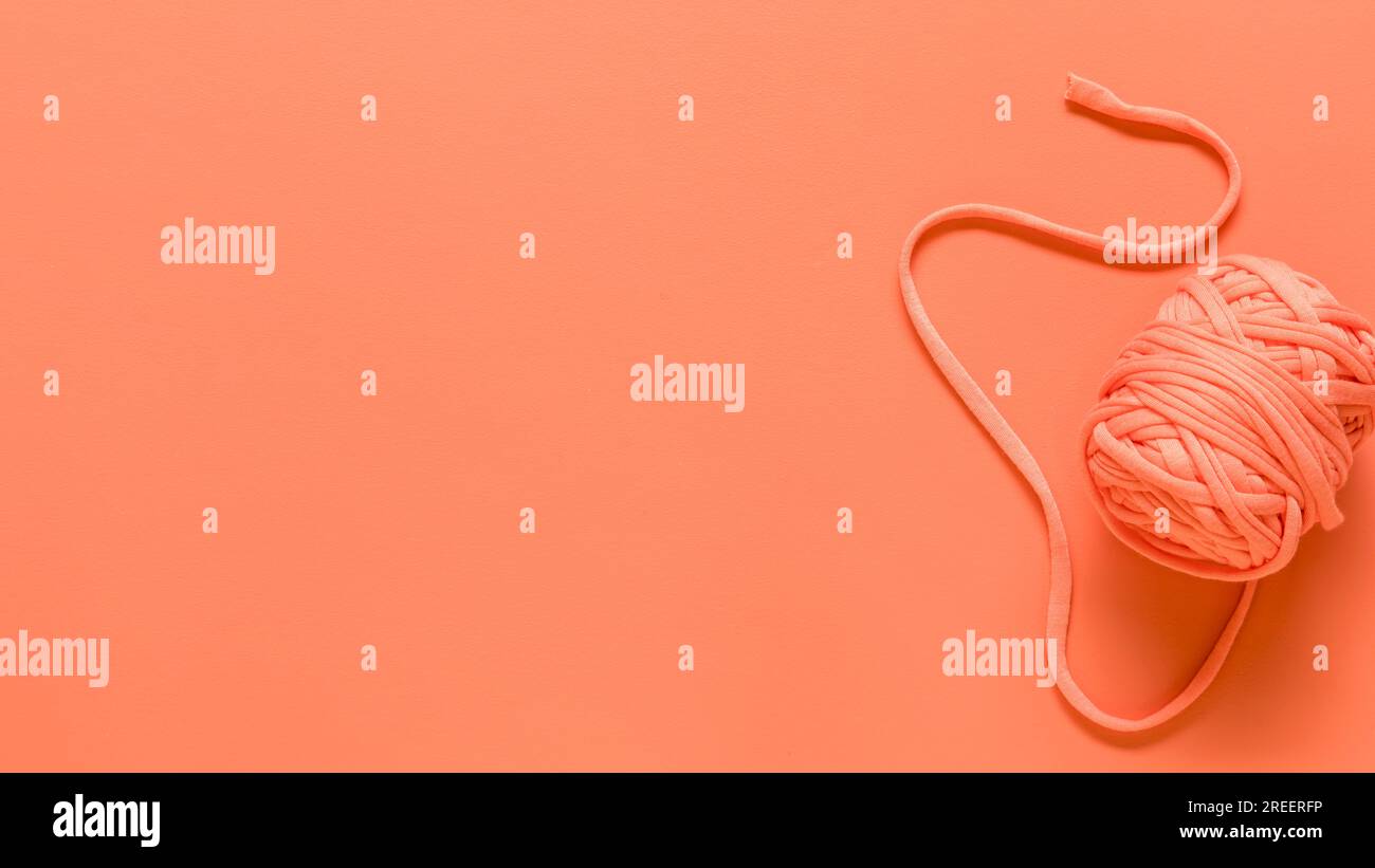 Composizione rosa con filo Foto Stock