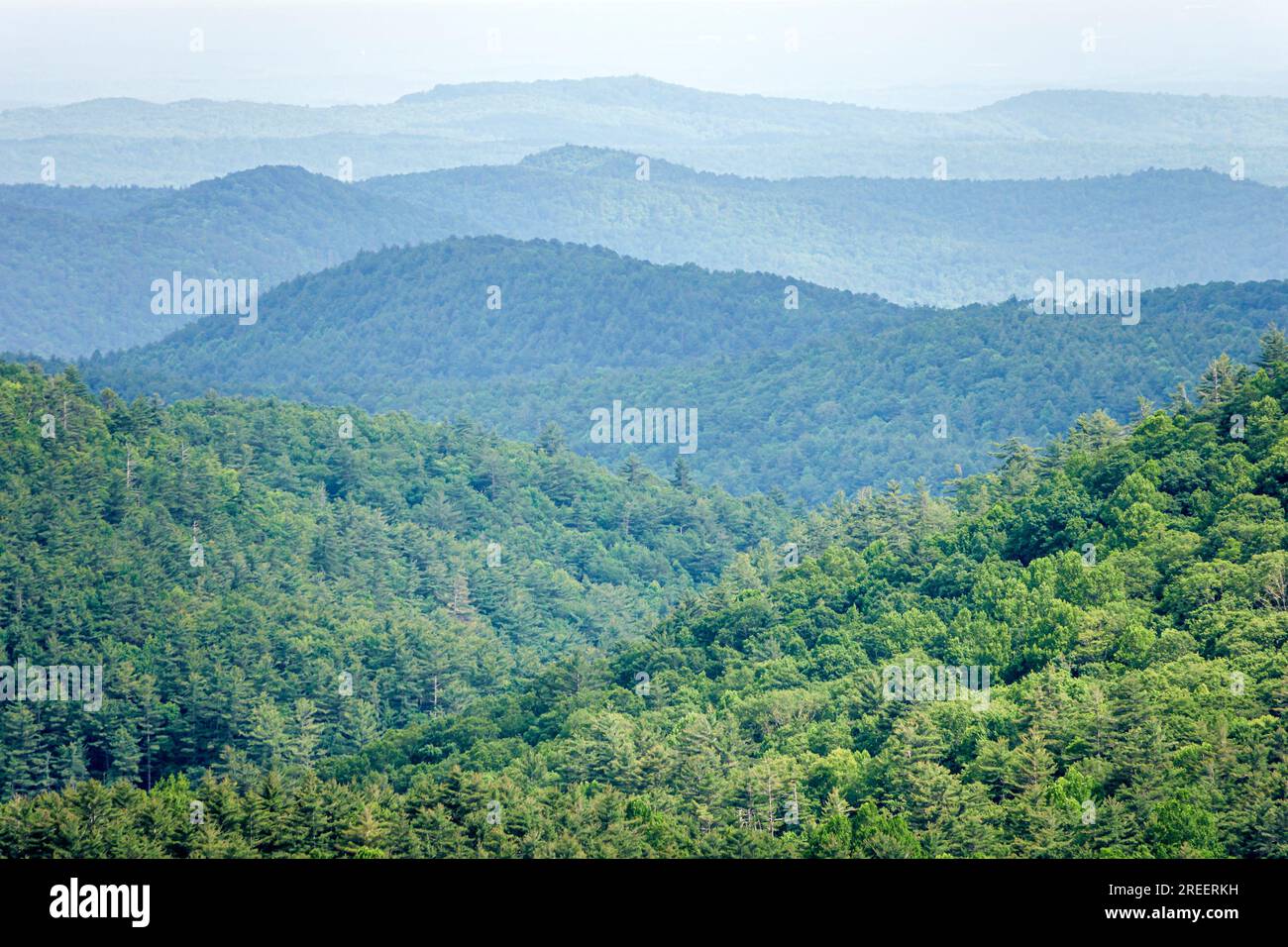 Sky Valley Georgia, Blue Valley si affaccia sulla Nantahala National Forest, vista panoramica delle lontane creste ricoperte di alberi, delle Blue Ridge Mountains degli Appalachi Foto Stock