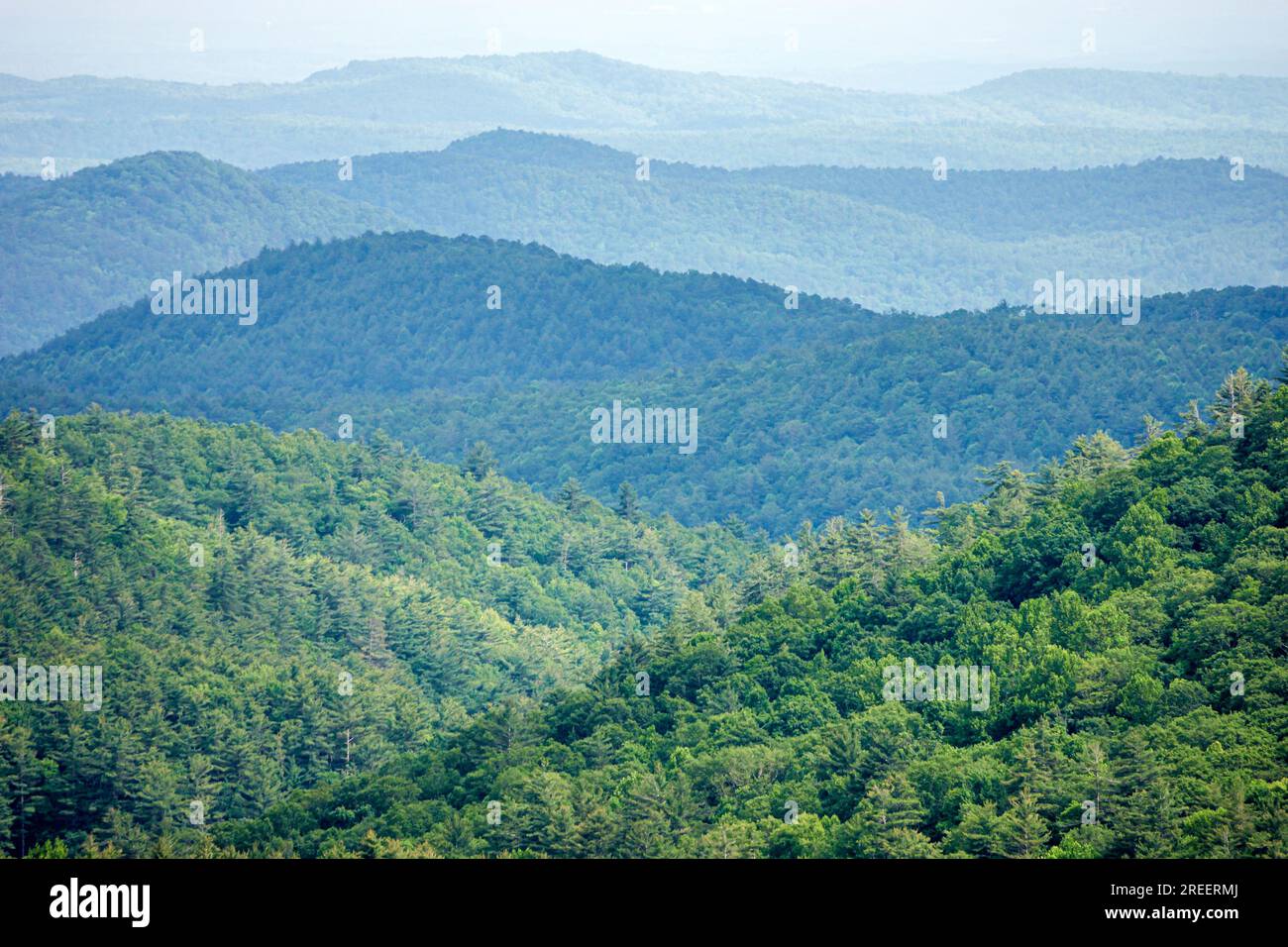 Sky Valley Georgia, Blue Valley si affaccia sulla Nantahala National Forest, vista panoramica delle lontane creste ricoperte di alberi, delle Blue Ridge Mountains degli Appalachi Foto Stock