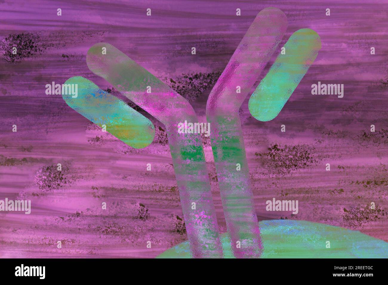 Il sistema immunitario è il sistema di difesa del corpo e difende gli agenti patogeni Foto Stock