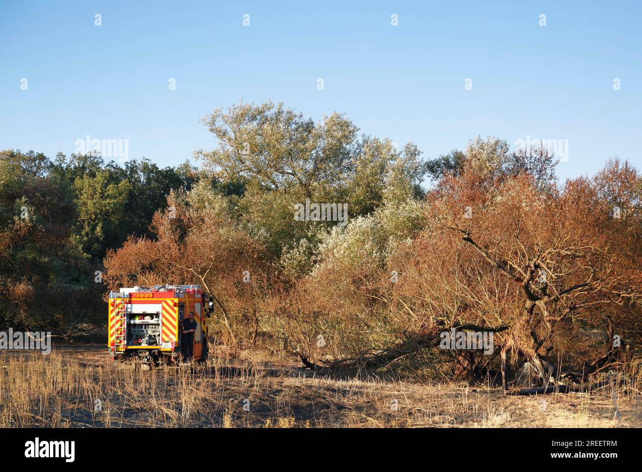 Operazioni dei vigili del fuoco dopo un incendio nei prati, riserva della biosfera del Medio Elba, Sassonia-Anhalt, Germania Foto Stock