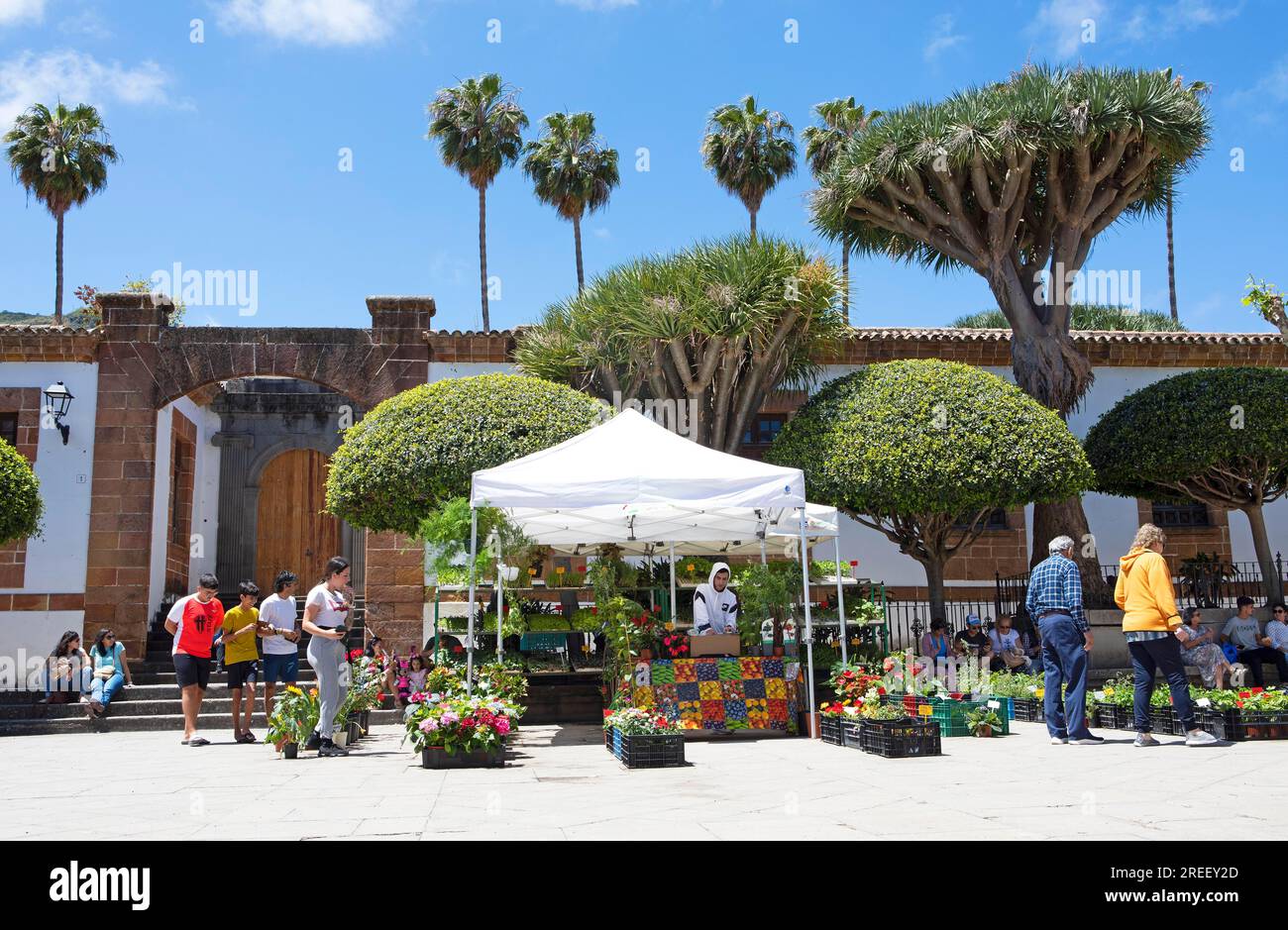 Zona pedonale Calle Iglesia Chica a Teror, Provincia di Las Palmas, Gran Canaria, Isole Canarie, Spagna Foto Stock