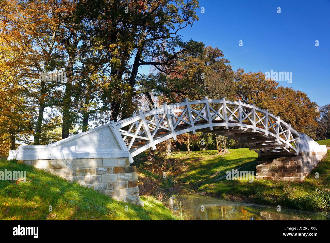 Ponte ad arco nel Parco del Luisium, riserva della biosfera dell'Elba centrale, Sassonia-Anhalt, Germania Foto Stock