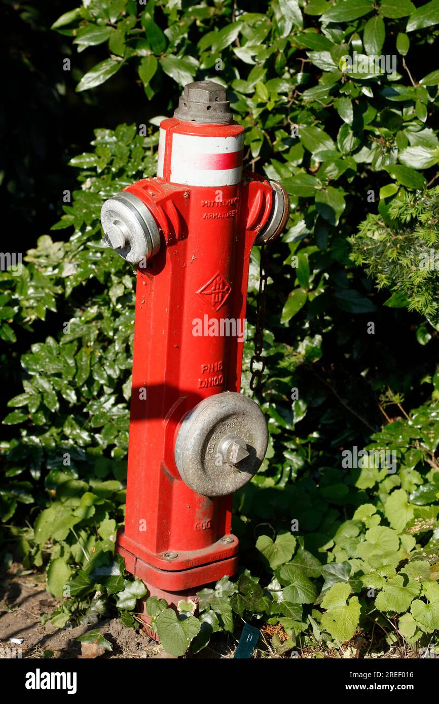 Idrante rosso, Germania Foto Stock
