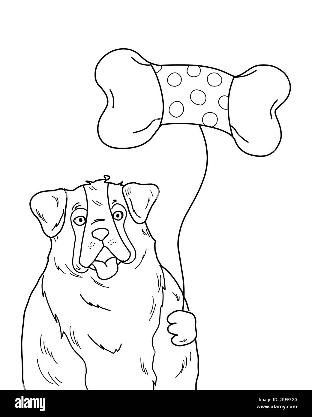 Il cane di San Bernardo che tiene una mongolfiera per festeggiare la festa di compleanno. Happy PET Animal disegno isolato su sfondo bianco. Foto Stock