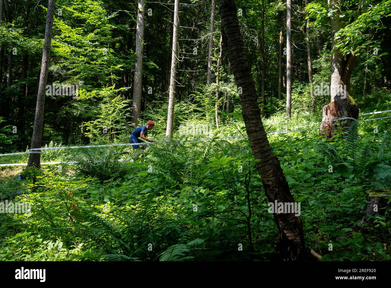 Jozsef-Attila Malnasi (Romania) corre attraverso la foresta di Góra Parkowa -2023 UEC MTB Elite European Championships - European Games Cracow -Krynica-Zdrój Foto Stock