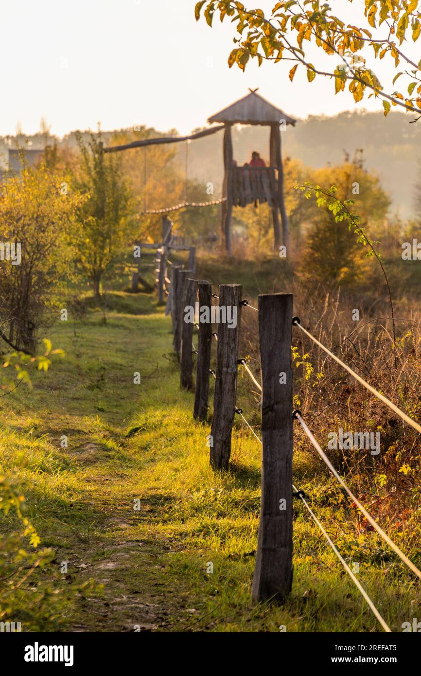 Recinzione elettrica intorno alla riserva naturale di Milovice, che ospita cavalli selvatici e alambicchi, Repubblica Ceca Foto Stock