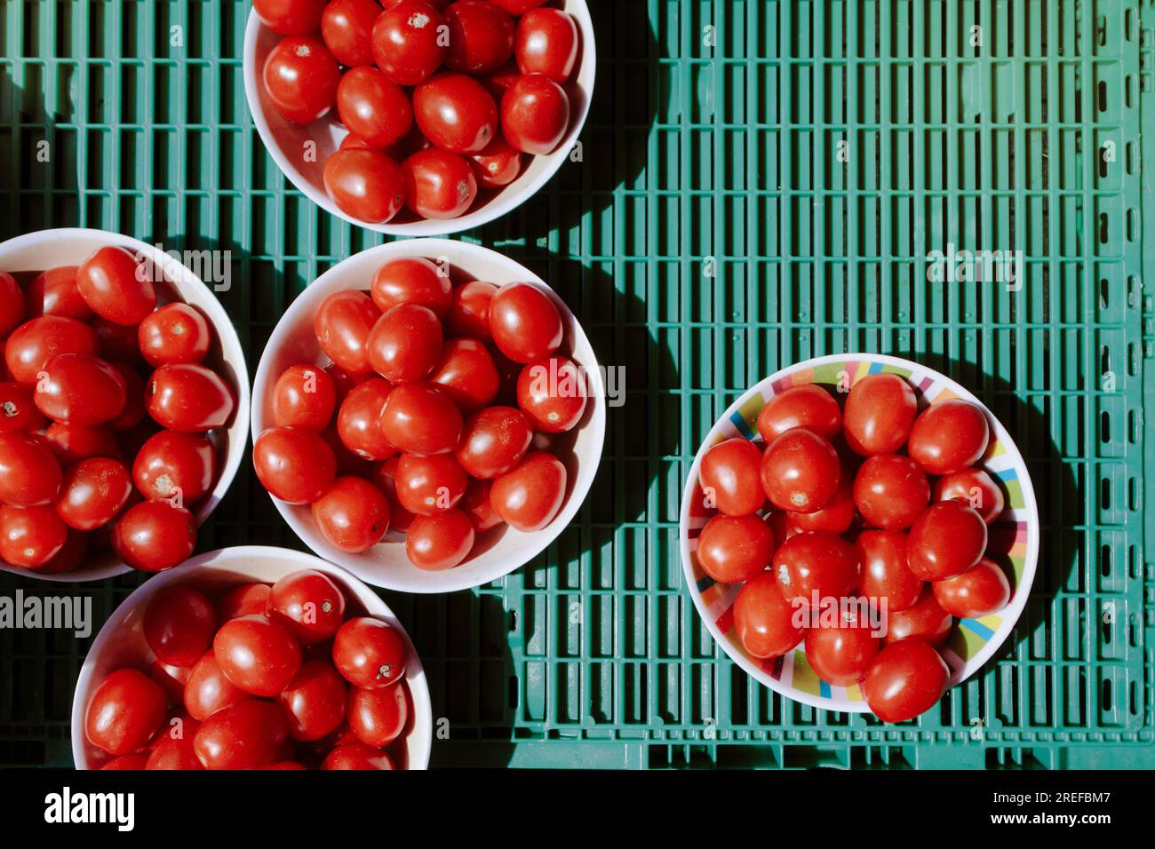 Pomodori prugna venduti al mercato verde Foto Stock