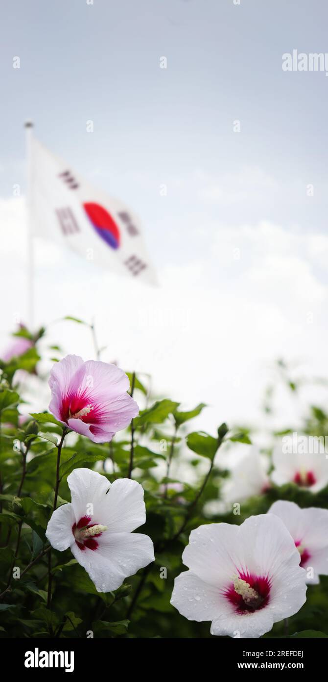 Cielo azzurro e nuvole Repubblica di Corea Taegeukgi e fiore di Mugunghwa e Samiljeol e giornata della Liberazione, giorno della Costituzione e giorno di Hangeul e memoriale D. Foto Stock