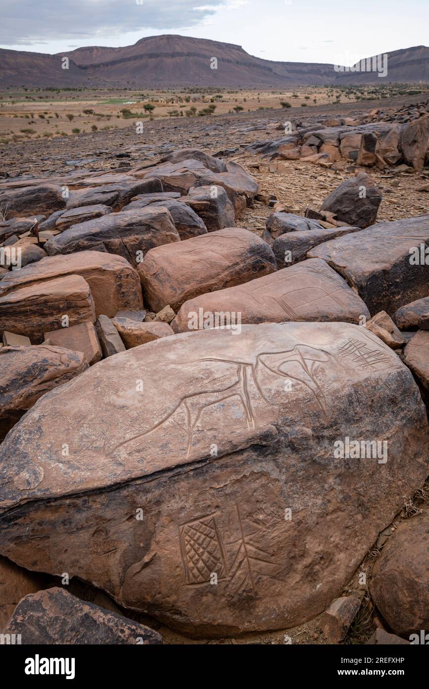 Petroglyph, sito roccioso di Ait Ouazik, tardo neolitico, Marocco, Africa Foto Stock