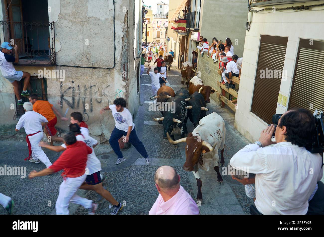 Una foto emozionante che cattura l'emozione mentre la gente corre davanti ai tori nel tradizionale encierro di Brihuega Foto Stock