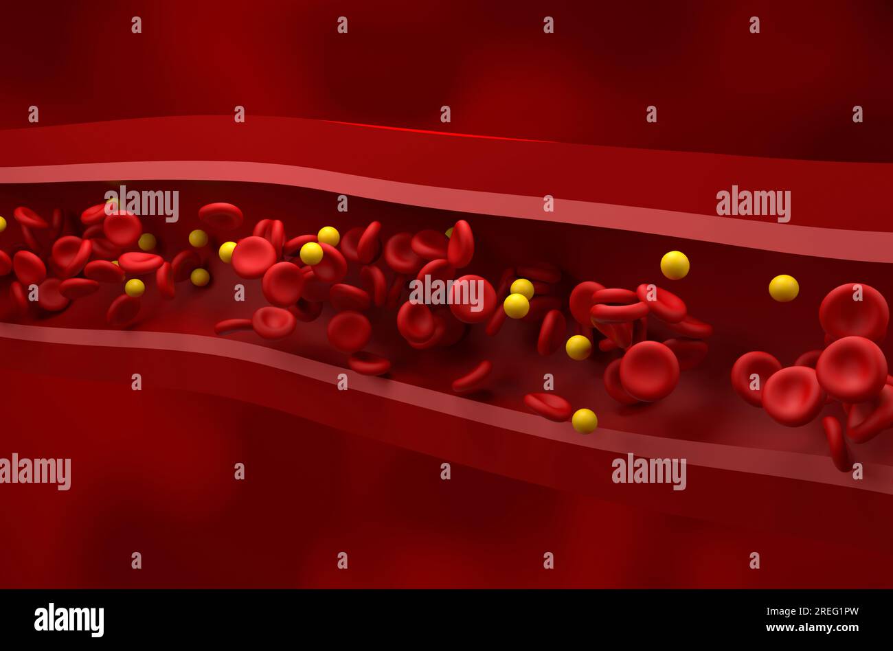 Livello normale di LDL (lipoproteina) - colesterolo e flusso di rbc nella vista isometrica dei vasi sani illustrazione 3d. Foto Stock