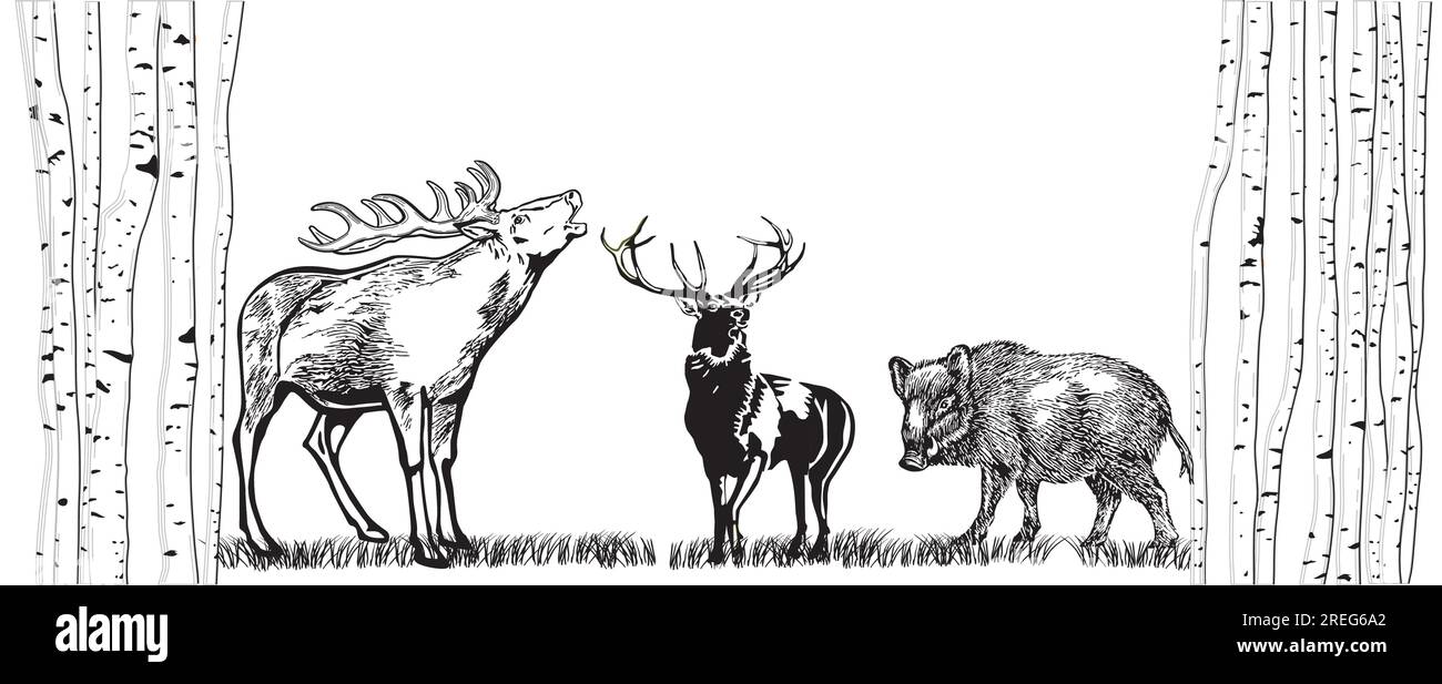Illustrazione di cervo e cinghiale sul prato Illustrazione Vettoriale