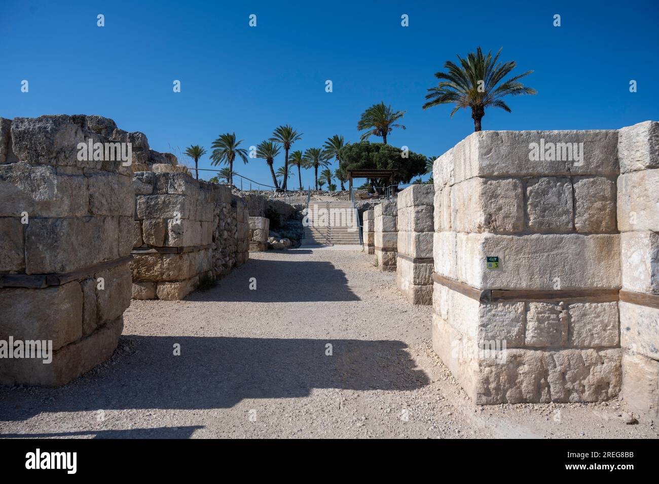 Iron Period City Gate Tel Megiddo National Park. Megiddo è un tel (collina) composto da 26 strati di rovine di antiche città in una posizione strategica a t Foto Stock