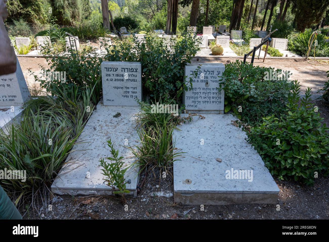 Tomba di Ayin Hillel presso il cimitero di Kibbutz Mishmar Haemek fondata nel 1926 Ayin Hillel (ebraico: ע. הלל) era lo pseudonimo di Hillel Omer (4 Foto Stock