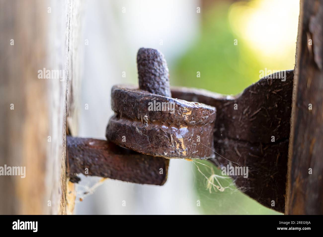 Il vecchio ferro si apre su una porta di legno. Foto Stock
