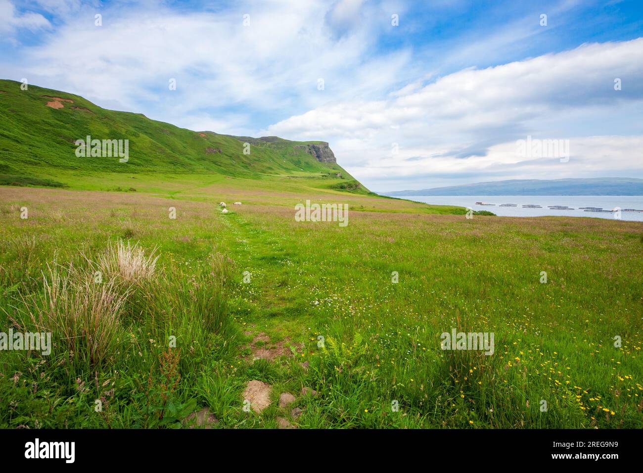 Paesaggio della Scozia, Regno Unito Foto Stock