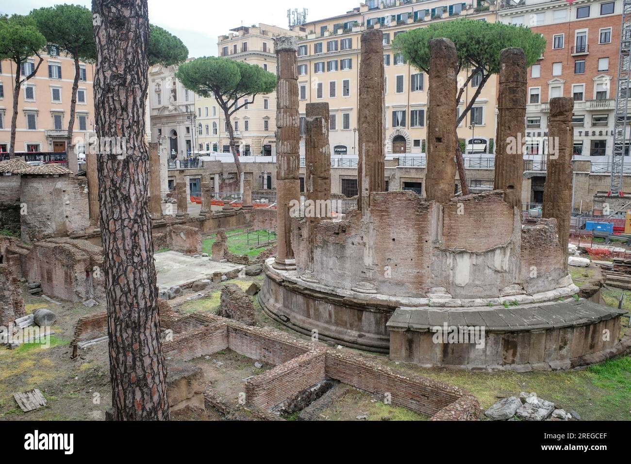 Roma, Italia - 26 novembre 2022: Il sito archeologico e il parco dei gatti di largo Torre Argentina Foto Stock