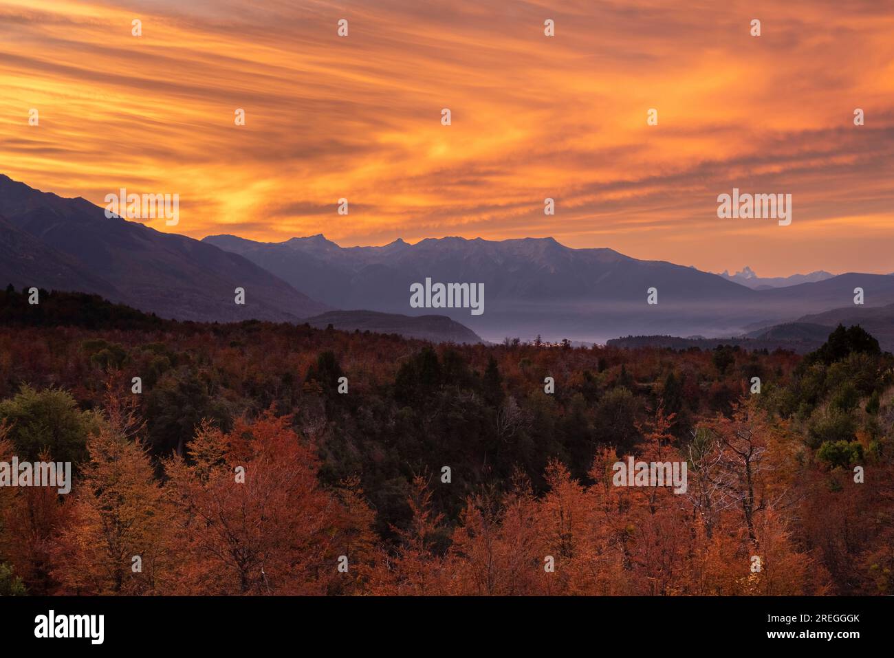 Tramonto nel cielo arancione con alberi color Autum in Patagonia Foto Stock