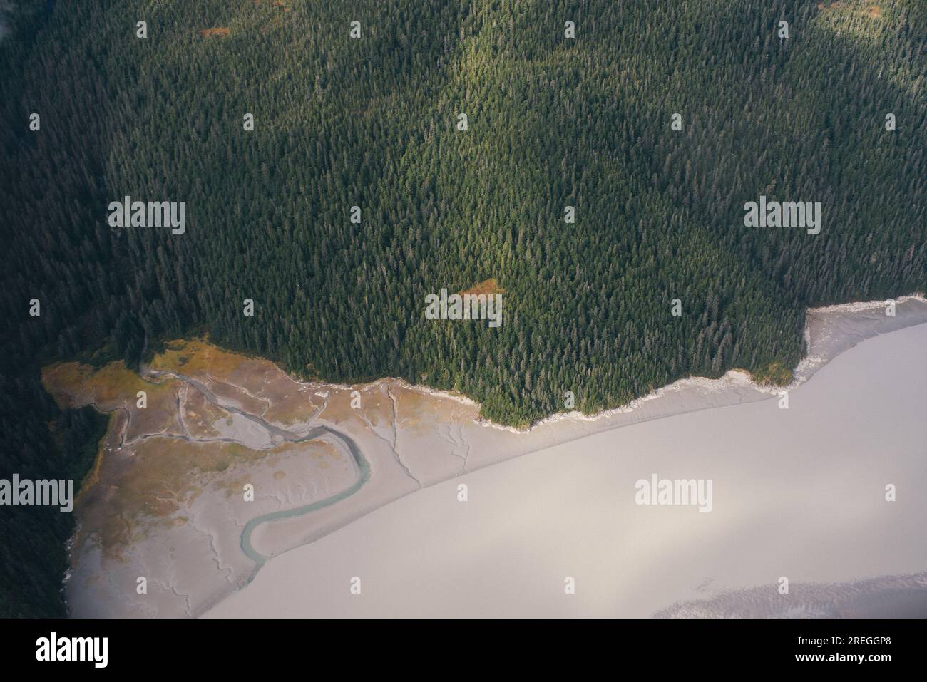 I pini Ariel incontrano l'oceano a Sitka in Alaska Foto Stock