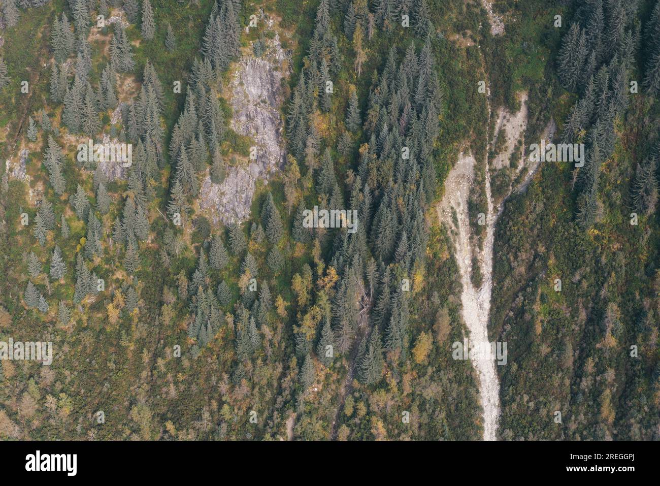 Vista Ariel della foresta dell'Alaska a Sitka, Alaska Foto Stock