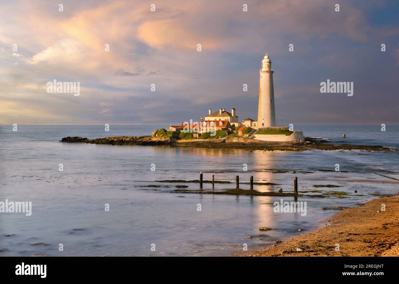 Il faro di St Mary illuminato dal sole della sera crea un paesaggio marino sereno e tranquillo. Foto Stock