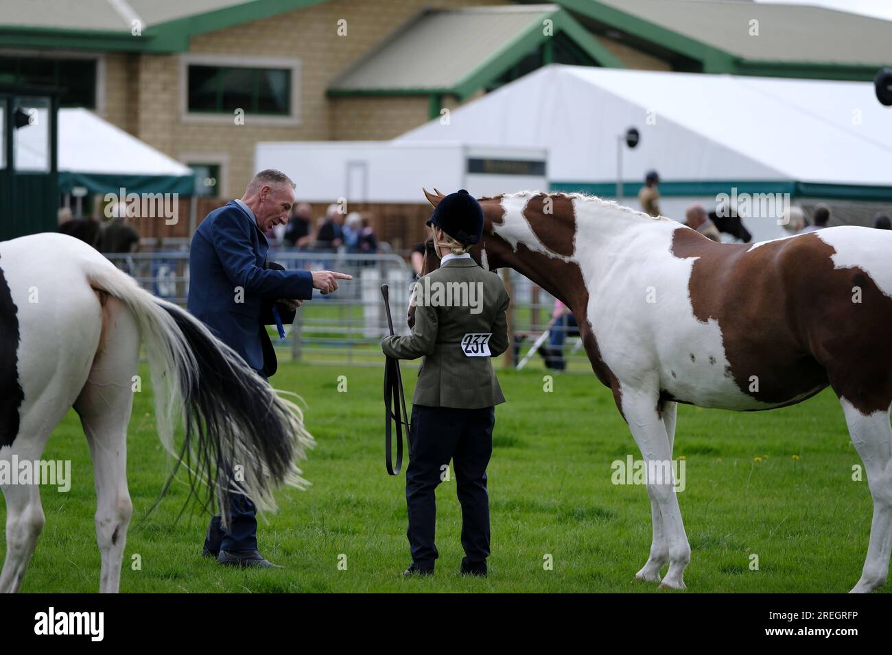 Primo giorno dello spettacolo BUAS Kelso. Il Border Union Show è il momento culminante dell'evento e del calendario agricolo per i confini scozzesi e il Northumberland. Lo spettacolo annuale si tiene l'ultimo venerdì e sabato di luglio nel Borders Events Centre, alla periferia della graziosa cittadina acciottolata di Kelso. Lo spettacolo è un tradizionale spettacolo agricolo con oltre 500 gare aperte per cavalli, bestiame e arti industriali Ci sono oltre 175 stand commerciali per tutto ciò che si può immaginare, dai trattori e forniture agricole ai negozi di abbigliamento e cibo. Food Fair accoglie produttori provenienti da tutta la Scozia e fa Foto Stock