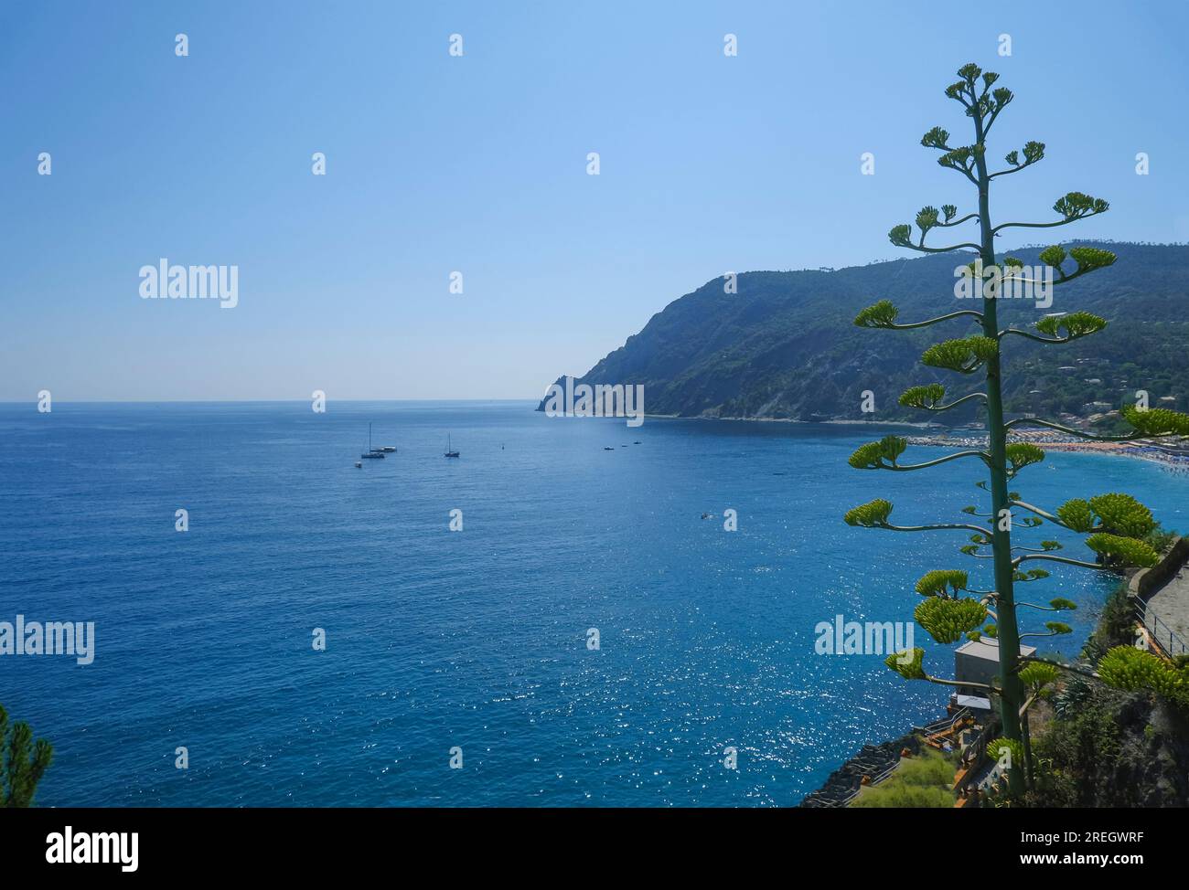 Vista aerea del mare ligure con barche, yacht e scogliere a Monterosso al mare, Liguria, Italia Foto Stock