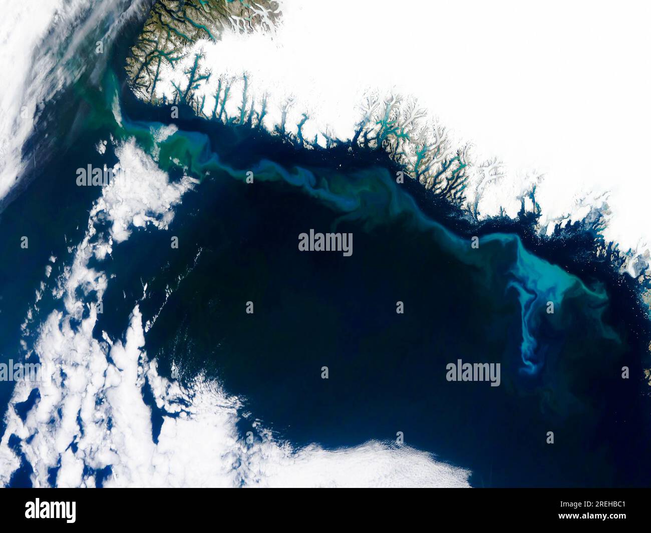 Fioriture di fitoplancton sulla superficie del mare in Groenlandia. Elementi di questa immagine forniti dalla NASA Foto Stock