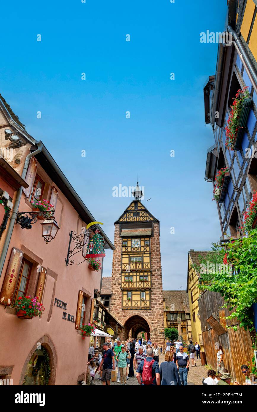 Riquewihr Alsace Francia. Percorso del vino in Alsazia. Il Tour Haute Foto Stock