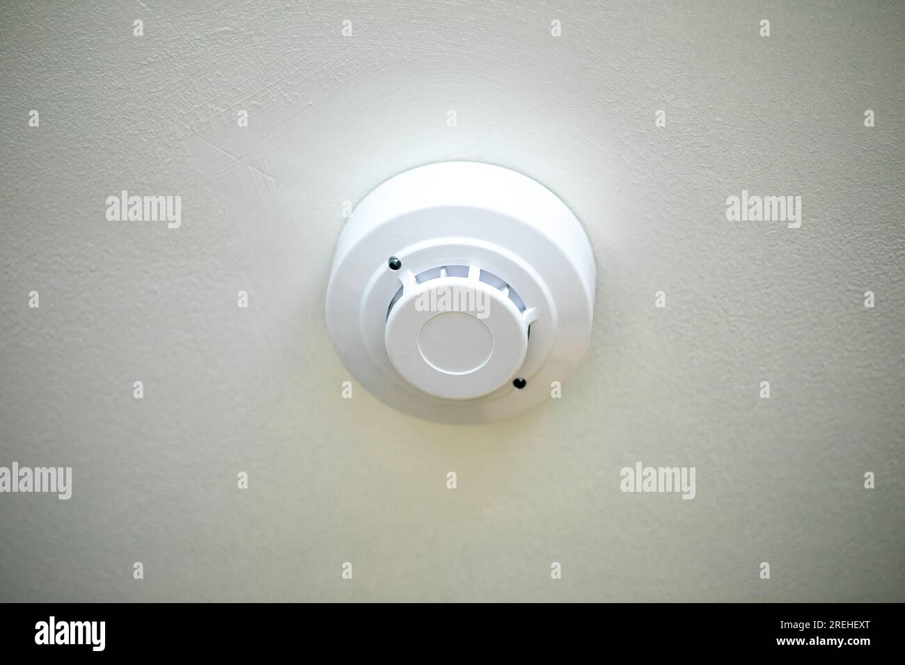 Rilevatore di allarmi antincendio sul soffitto con sfondo bianco. Primo piano. Foto Stock