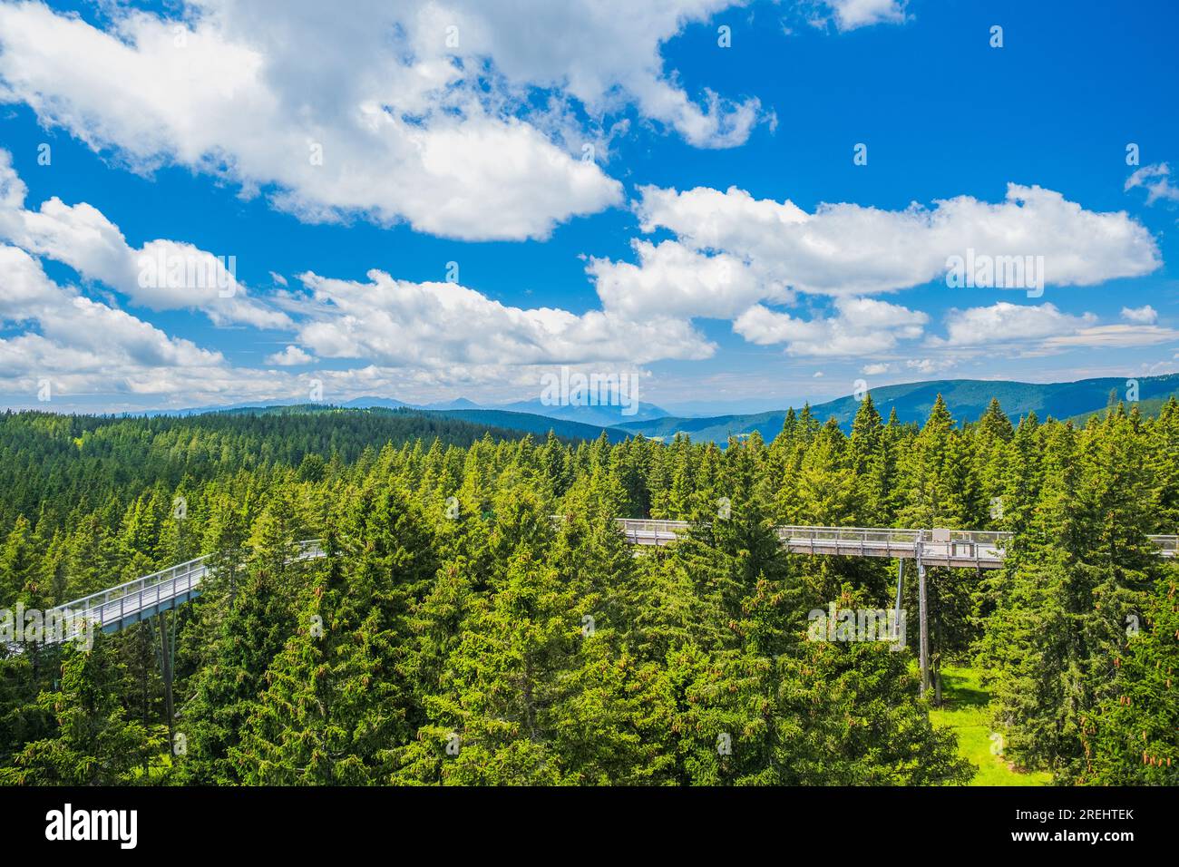 Sentiero pedonale con tettoia della foresta sopra le cime degli alberi, avventura all'aperto a Rogla, Slovenia Foto Stock