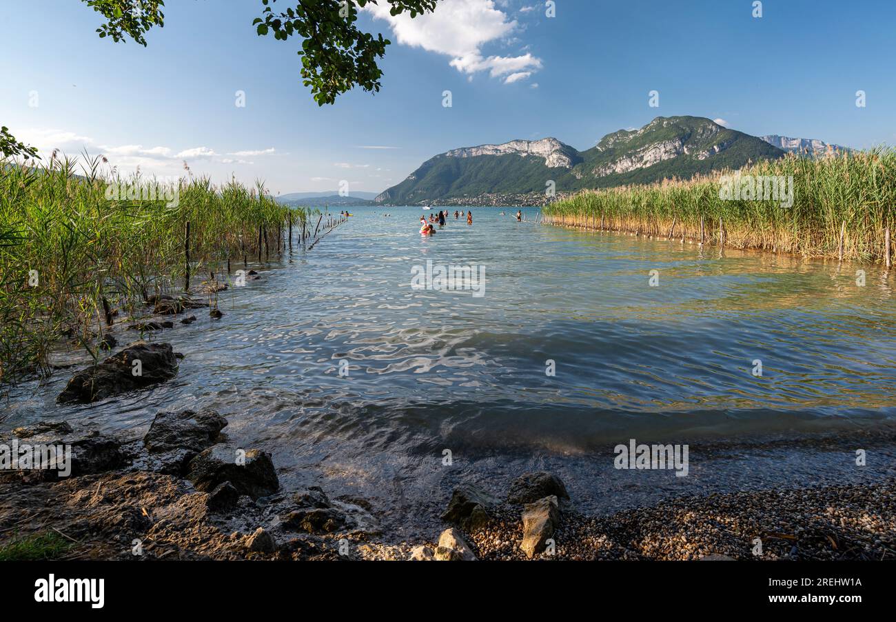 Nuotatori che si godono l'acqua pulita di una bella spiaggia di ciottoli sul lago Annecy al tramonto. Splendida vista del lago di Annecy dal bordo di una spiaggia. Foto Stock